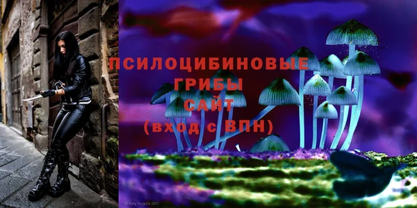 экстази Армянск