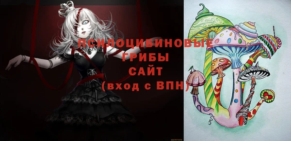 прущие крисы Арсеньев