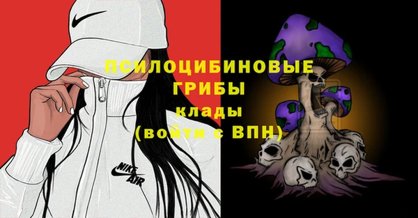 прущие крисы Арсеньев