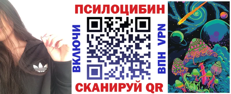 Купить где  Беслан  Псилоцибиновые грибы Magic Shrooms 